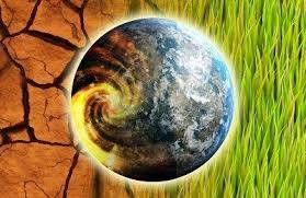 Immagine dell'articolo