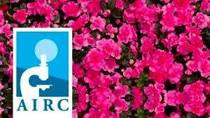 UN’AZALEA PER CAMBIARE IL FUTURO: LA RICERCA HA BISOGNO ANCHE DEI GIOVANI