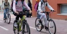 Immagine dell'articolo