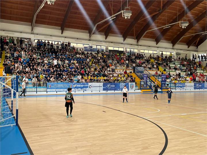 Immagine dell'articolo