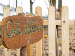 Immagine dell'articolo