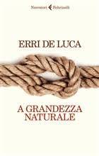 Immagine dell'articolo